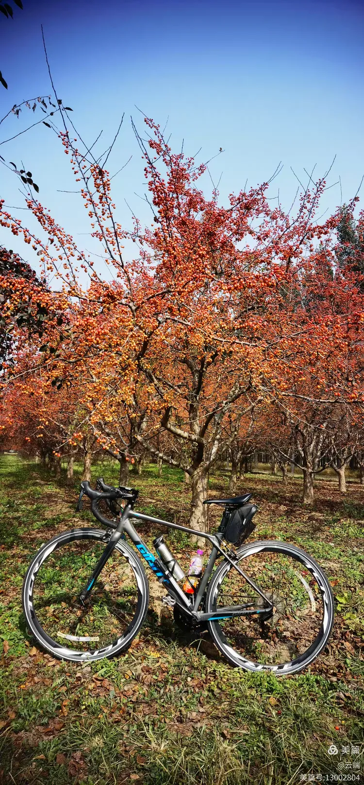 晴天雾霾再溜达之星河森林公园